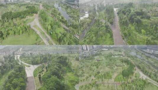 桂溪生态公园西区高清在线视频素材下载