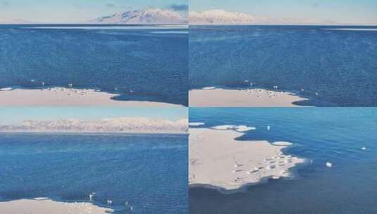 新疆博州赛里木湖冬季天鹅雪山航拍风景高清在线视频素材下载