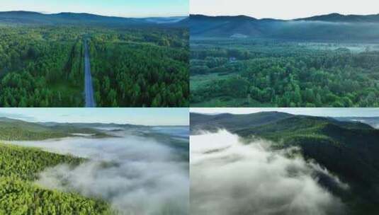 森林道路河流云雾合集高清在线视频素材下载