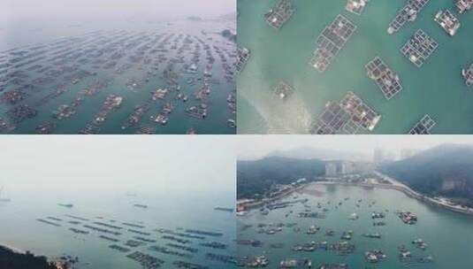 航拍海上水产养殖场-广东海陵岛蒲鱼洲湾高清在线视频素材下载