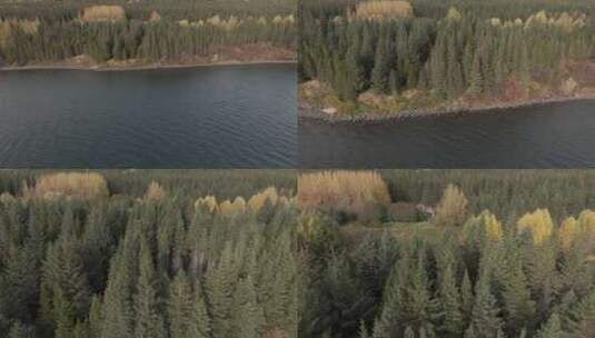 湖泊、秋天的森林和隐藏的房子上方的缓慢多高清在线视频素材下载