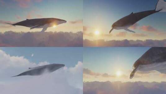 意境鲸鱼云层遨游高清在线视频素材下载