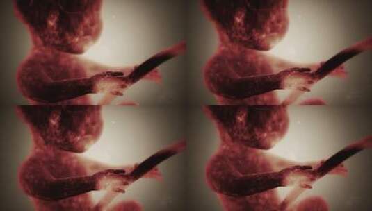人体胎儿的医学动画高清在线视频素材下载