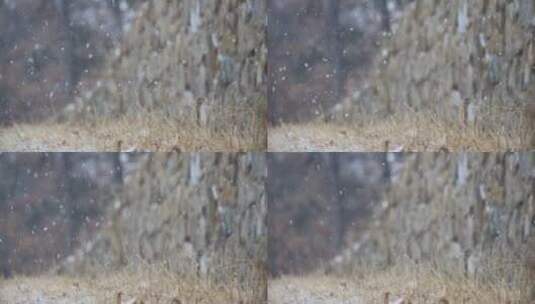 威海里口山山野树林的落雪4K高清在线视频素材下载