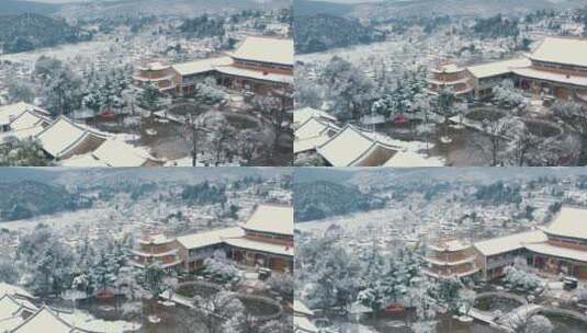 唯美雪景高清在线视频素材下载