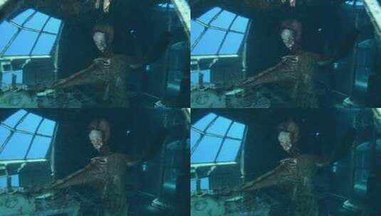 潜水者在红海探索沉没飞机的水下镜头高清在线视频素材下载