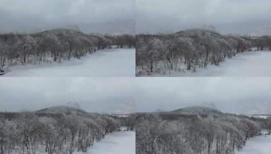 航拍湖北神农架大九湖冬季冰雪风光雪景高清在线视频素材下载