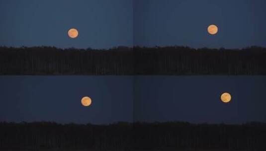 夜晚的月亮高清在线视频素材下载