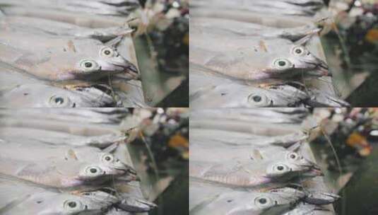 带鱼 新鲜海货 菜场高清在线视频素材下载
