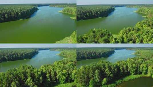 波兰森林中湖上的小渔船高清在线视频素材下载