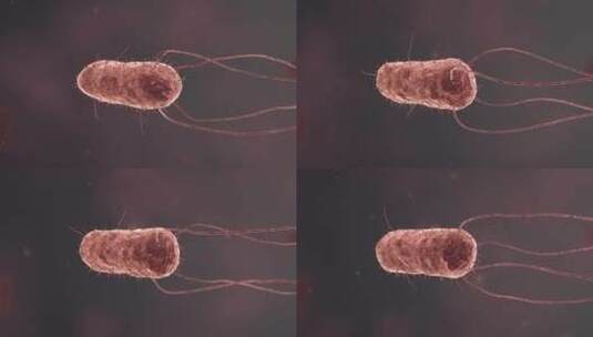 医疗病菌病毒细菌分子病原体生物三维动画高清在线视频素材下载