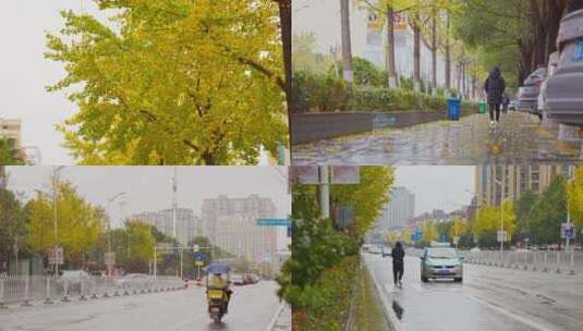 落叶深秋-银杏树叶-伤感凄凉-秋雨的街道高清在线视频素材下载