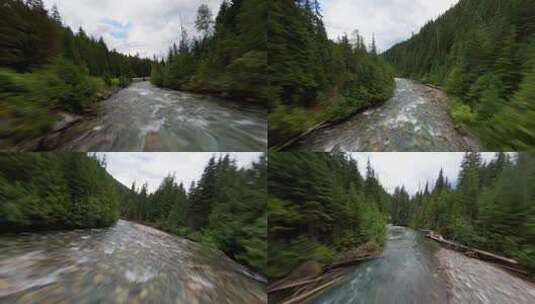 森林树木河流溪水穿越机航拍高清在线视频素材下载