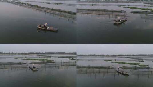 航拍宝应湖围网养鱼高清在线视频素材下载