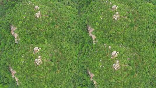 香港宝马山山顶高清在线视频素材下载