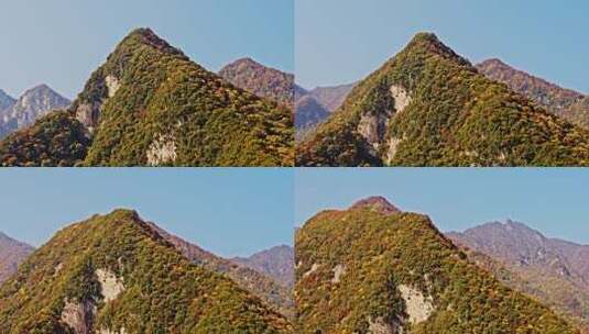 陕西秦岭太平森林公园秋景高清在线视频素材下载