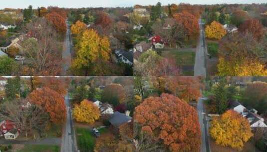 美国郊区安静的住宅区。秋天的家，树上有五颜六色的叶子。秋天高清在线视频素材下载