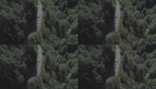 摩托车行驶在山间公路上高清在线视频素材下载