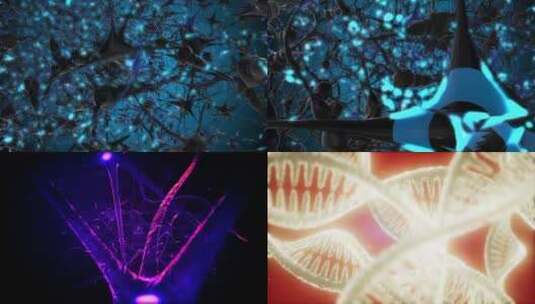 【合集】3d细胞神经元基因螺旋微观运动特写高清在线视频素材下载