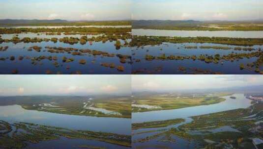 航拍夏季乌苏里江和湿地风光高清在线视频素材下载