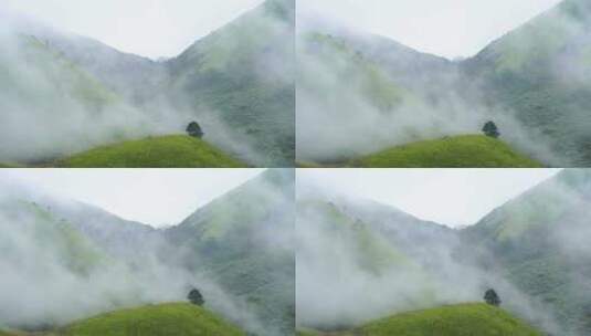 森林云海山峰云雾缭绕雨后树林山林山脉风景高清在线视频素材下载