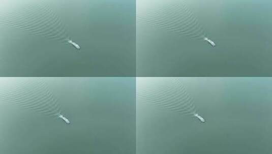 鄱阳湖游船航拍湖面上的观光游艇俯拍湖水高清在线视频素材下载