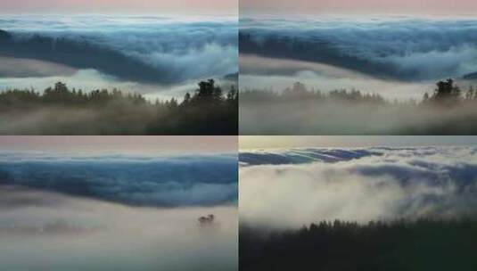 云海云雾登山山顶风景日出晨曦山脉高清在线视频素材下载