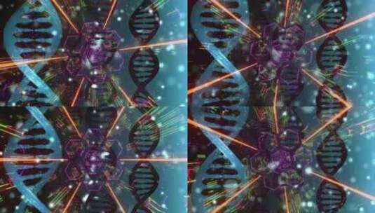 DNA螺旋结构3d模拟1高清在线视频素材下载