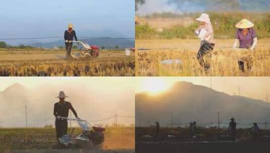 耕地种地农民农村高清在线视频素材下载