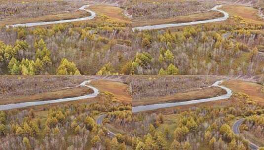 快进X10 航拍大兴安岭金色秋天高清在线视频素材下载