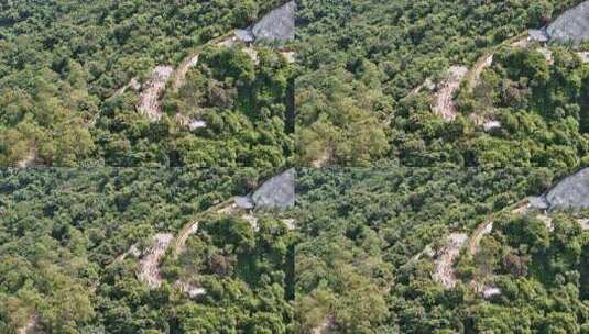 广东观音山国家森林公园第十二届登山大赛高清在线视频素材下载