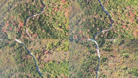 杭州临安浙西天池秋天盘山公路风景航拍高清在线视频素材下载