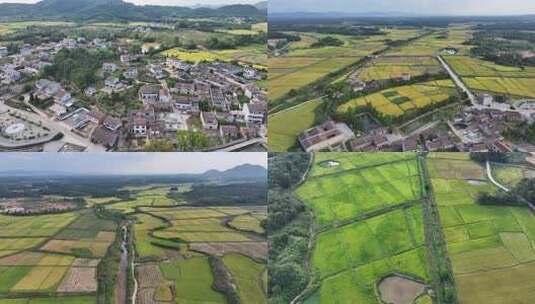 基础设施大提升 乡村“丰景”别样美高清在线视频素材下载