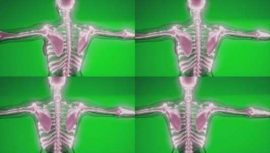 人体 骨骼 透视 立体 解剖 剖析高清在线视频素材下载