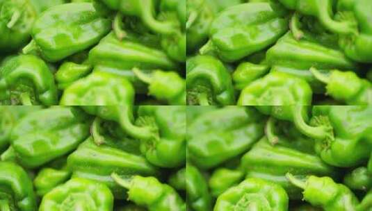 传统种植的辣椒高清在线视频素材下载