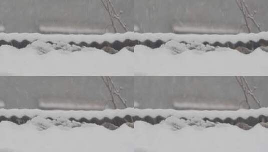 索尼slog2北方冬天下雪视频高清在线视频素材下载