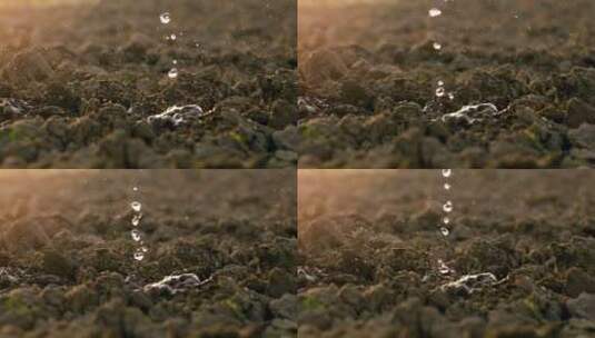 水滴落在土壤上高清在线视频素材下载