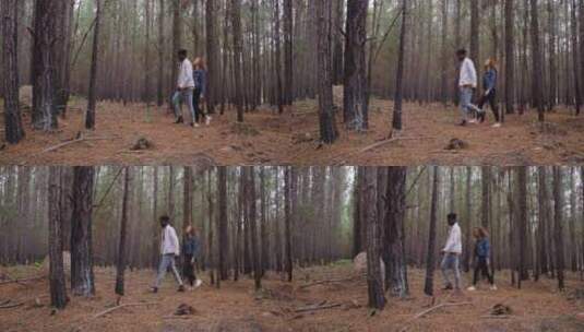 情侣在森林中散步高清在线视频素材下载