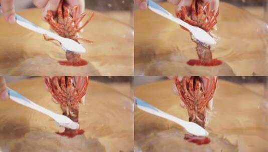 牙刷清洗刷洗小龙虾高清在线视频素材下载