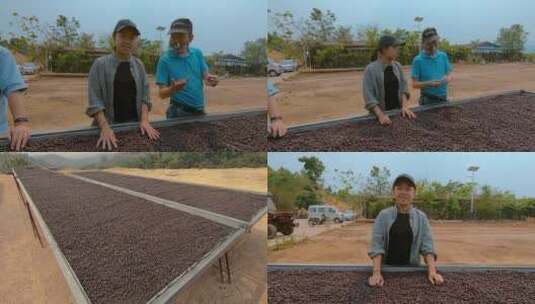 晾晒咖啡豆视频咖啡厂家咖啡豆晾晒架高清在线视频素材下载