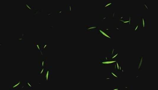 竹叶粒子旋转特效视频高清在线视频素材下载