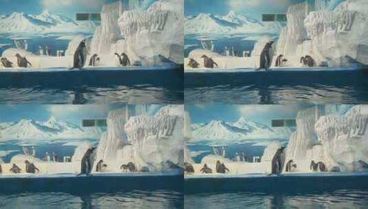 泉城欧乐堡极地海洋世界，美人鱼表演高清在线视频素材下载
