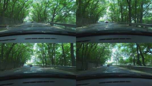 乡村第一视角开车沿路风光【4K】高清在线视频素材下载
