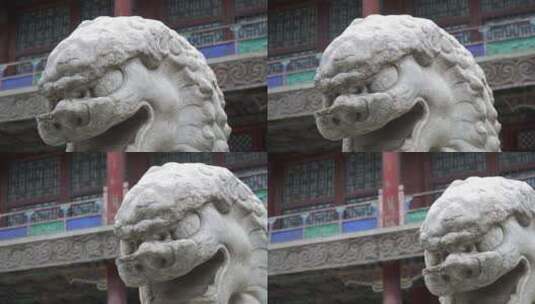 石狮子雕塑石刻狮子滚绣球高清在线视频素材下载
