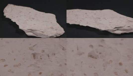 介壳灰岩贝化石高清在线视频素材下载