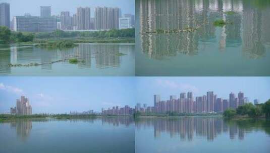 武汉汉阳墨水湖公园湿地公园4K视频合集高清在线视频素材下载