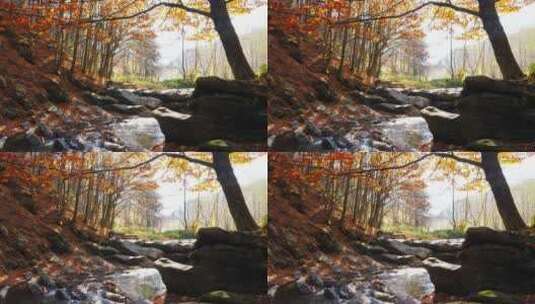 《河畔秋色》秋天多彩树林唯美小溪高清在线视频素材下载