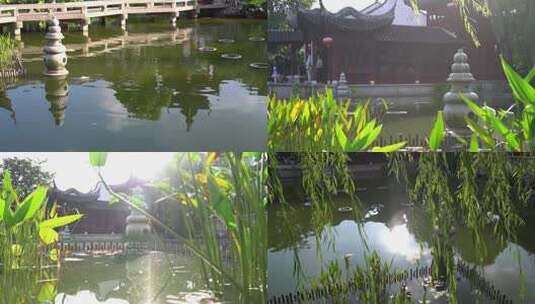 古镇池塘水池阳光反射高清在线视频素材下载