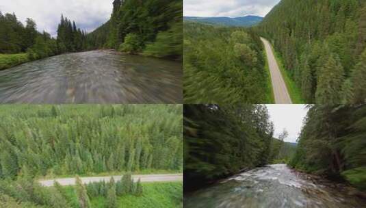 森林树木河流溪水穿越机航拍高清在线视频素材下载
