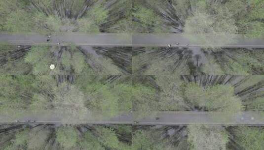 阴天下的青山湖森林风景航拍高清在线视频素材下载